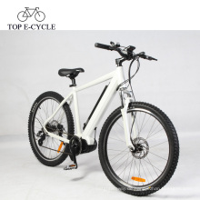 36V 250W Elektro-Mountainbike mit Federung und Bafang 8fun Mittelmotor-E-Bike